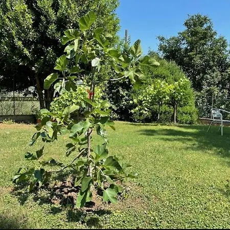 Casina Le Rondini * Paterno (Florence)
