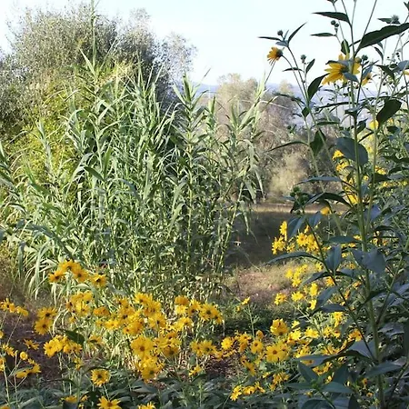 Appartement Casina Le Rondini Paterno (Florence)