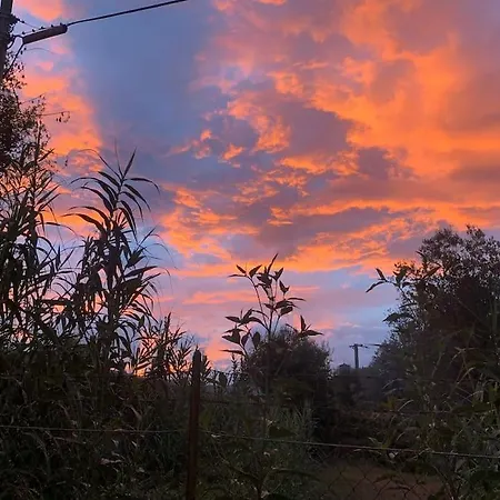Casina Le Rondini * Paterno (Florence)