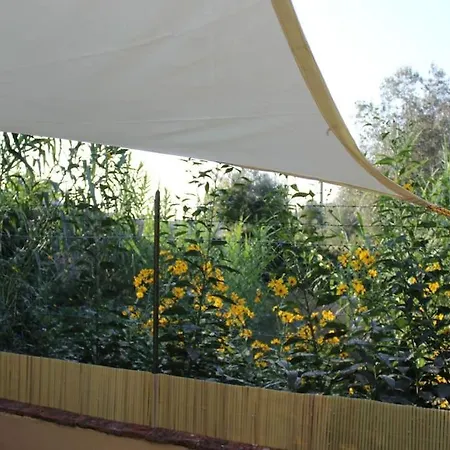 Appartement Casina Le Rondini